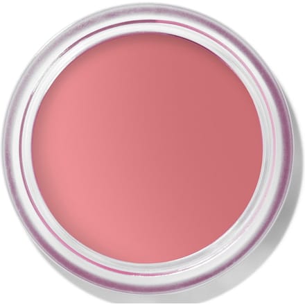 Bobbi Brown Pot Rouge Matte Cream Blush & Tint 8.5g (Various Shades) - Tea Rose: Musted dusty rose