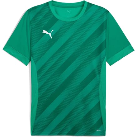 Jersey Puma teamGoal Graphic