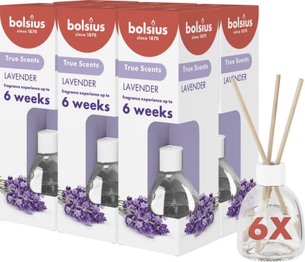 Bolsius - Geurstokjes - Lavendel - 6 stuks - Voordeelverpakking - 60ml