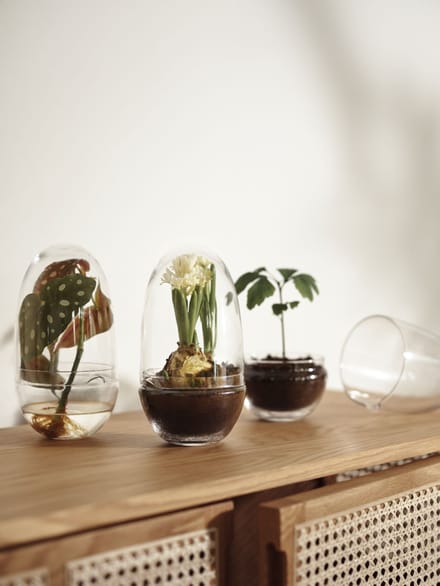 Design House Stockholm - Grow broeikas - L - transparant