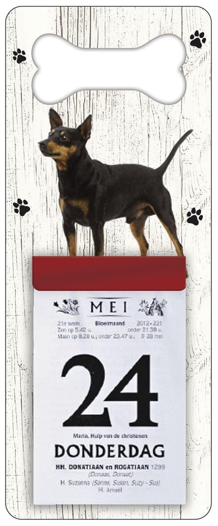 Scheurkalender 2027 Hond: Dwergpincher