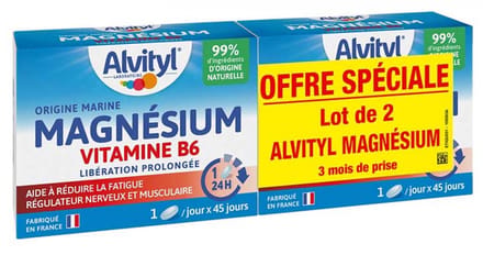 Alvityl Magnesium Vitamine B6 Verpakking van 2 x 45 Tabletten