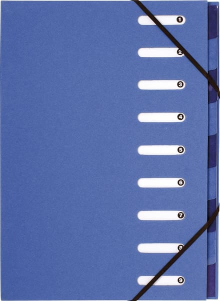 Exacompta 6x Sorteermap HARMONIKA® FOREVER® 270g/m2 - 9 indelingen - uitgesneden vensters - Lichtblauw - 52982E