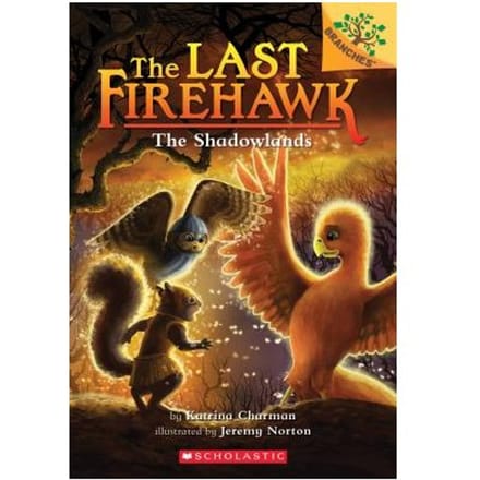 The Shadowlands: A Branches Book (The Last Firehawk #5) - Katrina Charman