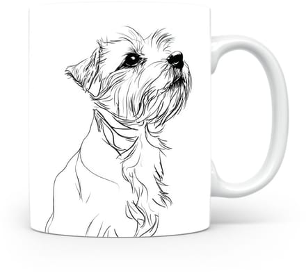 Beker Norfolk Terrier