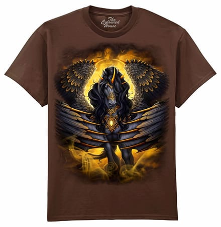 Black Pegasus The Coloured House T-shirt M