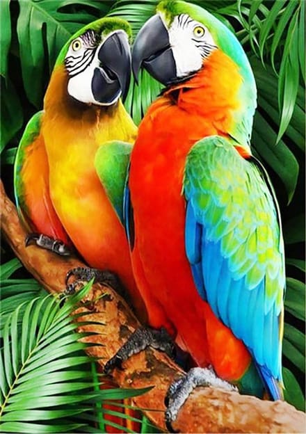 Diamond Painting - 30x40 - Zwier Vues - Papegaai - Dieren