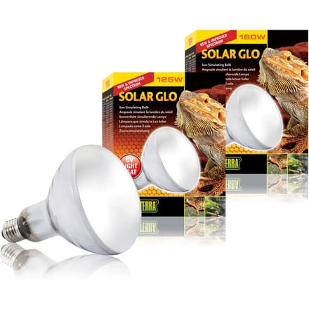 Bol Exo Terra Solar Glo