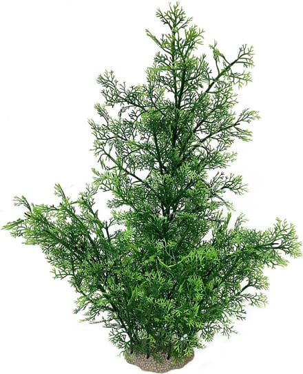 Aqua Della Aquariumplant Phoenix - Groen - 56cm