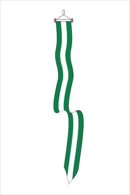 Wimpel Rotterdam 18x165cm met stokje