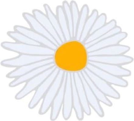 Pin Broche - enamel pin - kledingspeld - Madeliefje