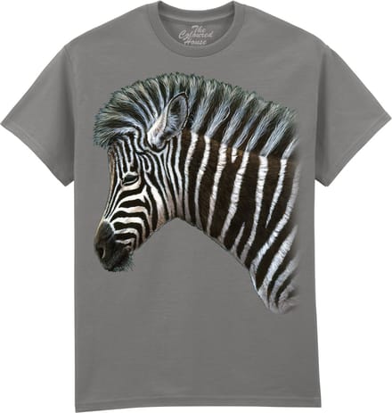Zebra Foal The Coloured House T-shirt M