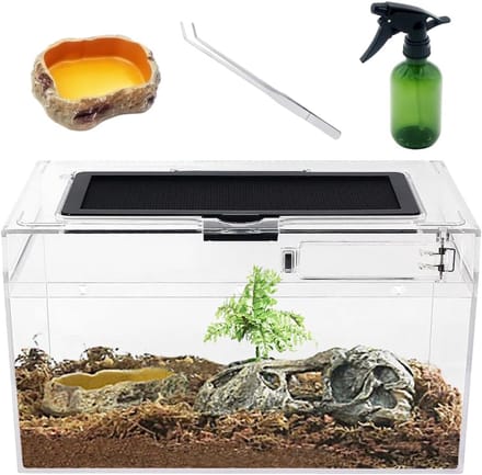 DailySupplies® Terrarium - Ecosysteem - Reptielenverblijf - Transparant
