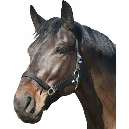 Nylon paardenhalster HorseGuard