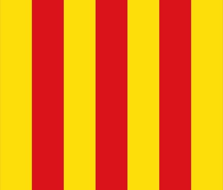 Vlag Kontich 100x150cm