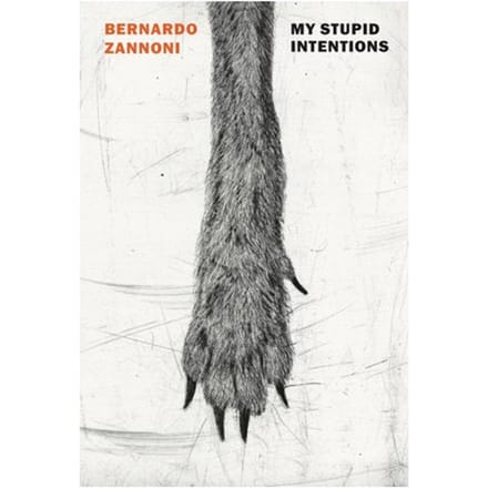 My Stupid Intentions - Bernardo Zannoni