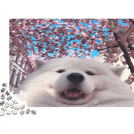 Fotopuzzel 1000 Stukjes - Dieren Legpuzzel - Ontspanning Thuis - Gepersonaliseerd Ontwerp - 75 x 50 cm - Multi