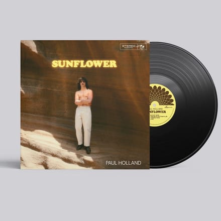 Paul Holland - Sunflower