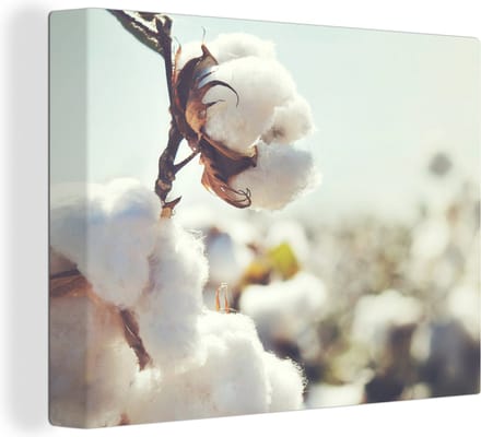 Canvas Schilderij Planten - Bloem - Tak - Natuur - 40x30 cm - Wanddecoratie