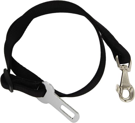 Hondenriem met autogordeladapter - zwart