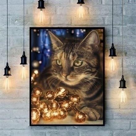 Diamond Painting Fluffy Rascal AZ-1694