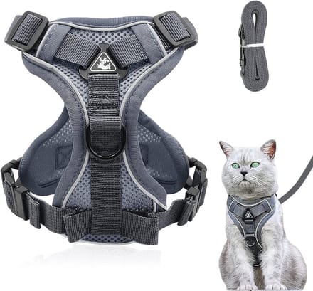 Solidchoice - Verstelbare Kattenharnas met Lijn voor Comfortabele Wandeling