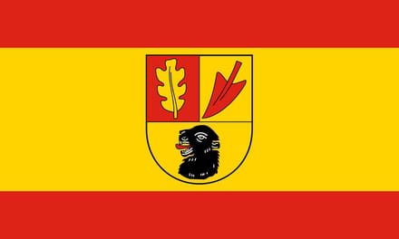 Vlag Hörstel 100x150cm