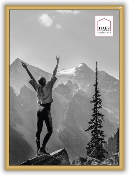 HAES DECO - Kunststof fotolijst A4 / 21x29,7 goud Easy Frame - EF11G