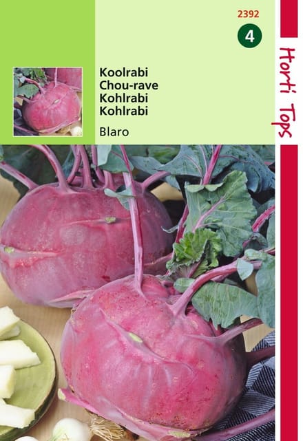 2 stuks - Hortitops - Koolrabi Blaro