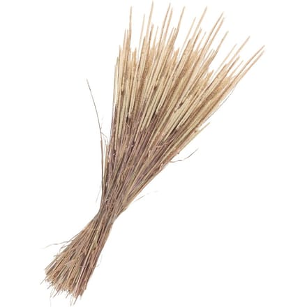 Gedroogde bloemen "Phleum Pratensis" - Natuur