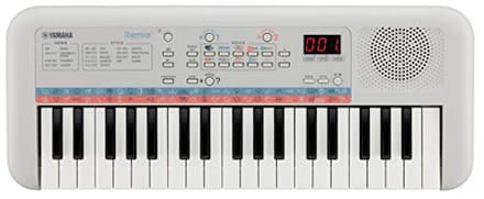Mini Keyboard voor Kinderen - Compact Draagbaar Toetsenbord met Geweldig Geluid en Quiz Modus