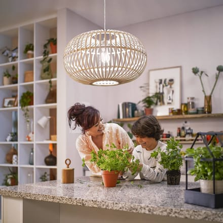 Philips Ultra Efficient LED lamp Transparant - 75 W - E27 - Koelwit licht