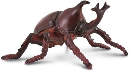 COLLECTA Figurine - Neushoornkever - (M) - Handgeschilderd - Miniatuur