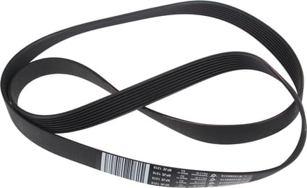 WHIRLPOOL - SNAAR POLY-V - 1310J8 ELAST - 481010388418
