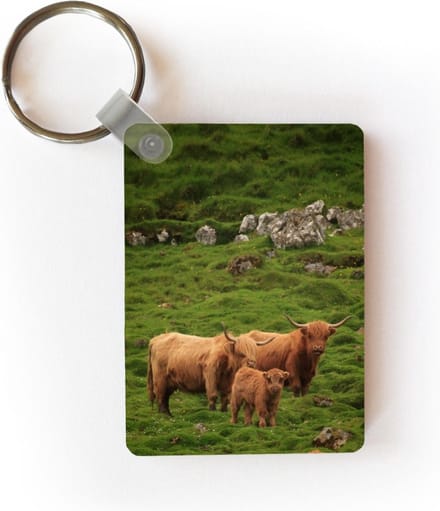 Sleutelhanger - Schotse hooglander familie - Uitdeelcadeautjes - Plastic