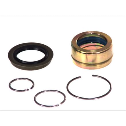 Kantelcilinder pomp, cabine AUGER 55501