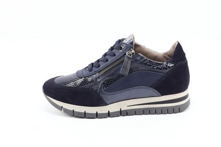 DLSport 6725 versione 07