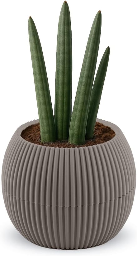 Omgoods - 15CM Zelfwaterende Bloempotten met Afvoer