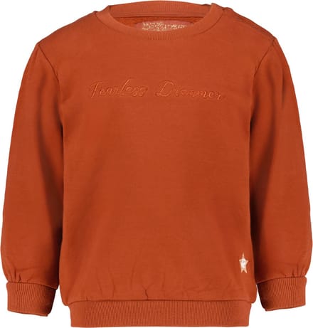 4PRESIDENT Sweater meisjes - Brandy Brown - Maat 92 - Meisjes trui