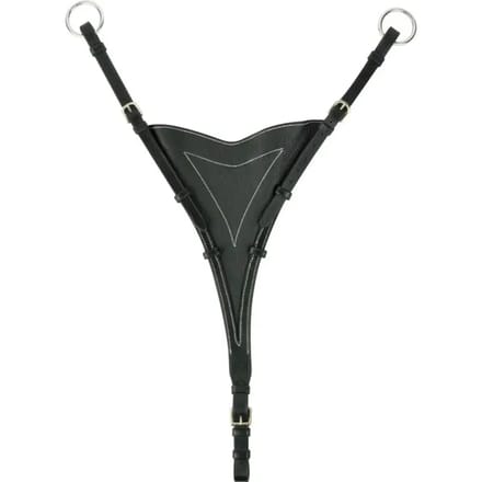 Volledig martingale schacht Eric Thomas Pro