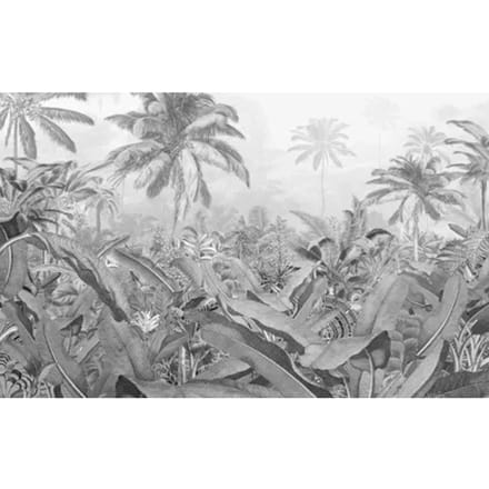 Komar - Fotobehang - Amazonia - Black - and - White - 400x250 - cm