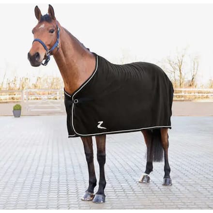 Het drogen van paardenvacht Horze