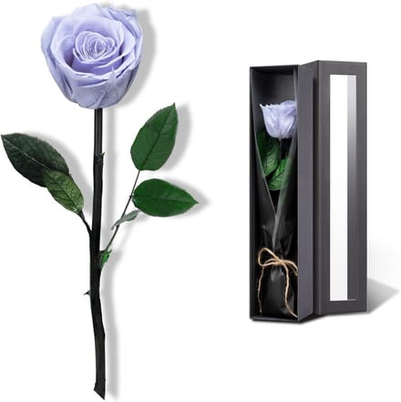 Eeuwigdurende Blauwe Rozen - Echt Geconserveerd Bloemencadeau