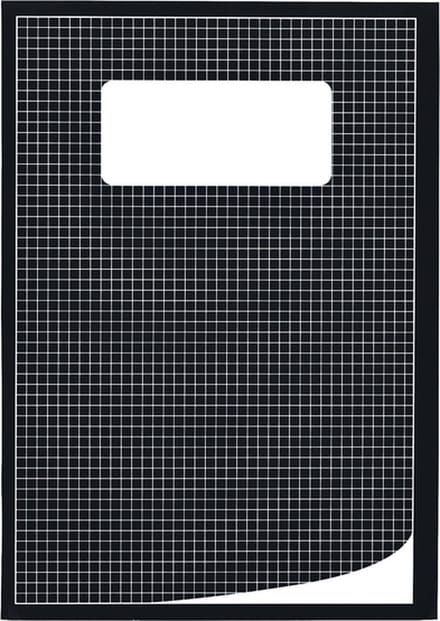 Schrift qbasic a4 ruit 5mm 80blz 70gr assorti | 5 stuks