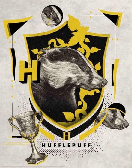 FaNaTik Poster - Harry Potter Gryffindor - 28 X 36 Cm - Multicolor