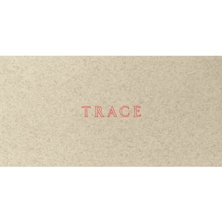 Jenny Holzer: Trace - Jenny Holzer