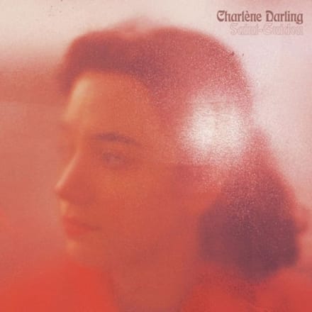 Saint Guidon - Charlene Darling