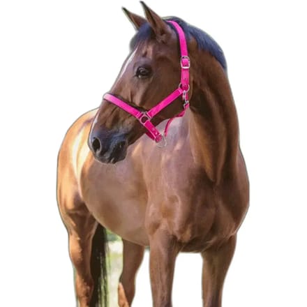 Halter Norton Fluo