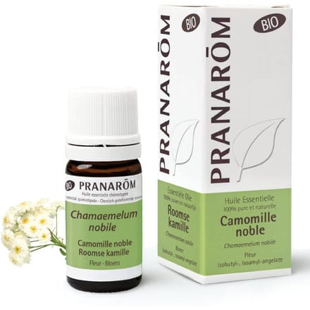 Pranarôm Essentiële Olie Roomse Kamille Bio | Ontspanning & Huidverzorging 5 Etherische olie