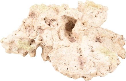 Flamingo - Aquarium Rocco koraal - Beige - 18 x 13.5 x 9.5 cm